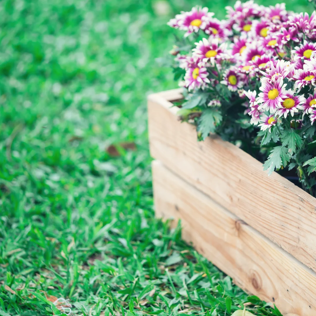 historia de ackeris jardineria en madrid
