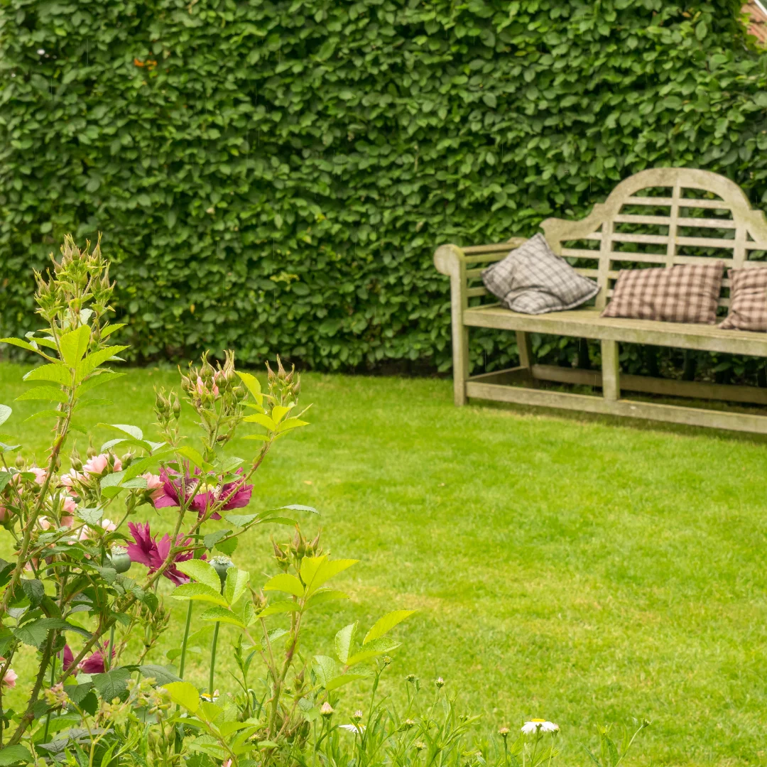 valores de ackeris jardineria en madrid